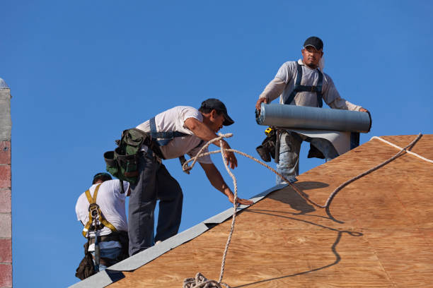 Best Commercial Roofing Services  in San Augustine, TX