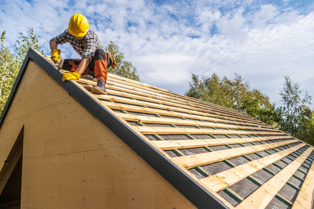 Best Roof Gutter Cleaning  in San Augustine, TX